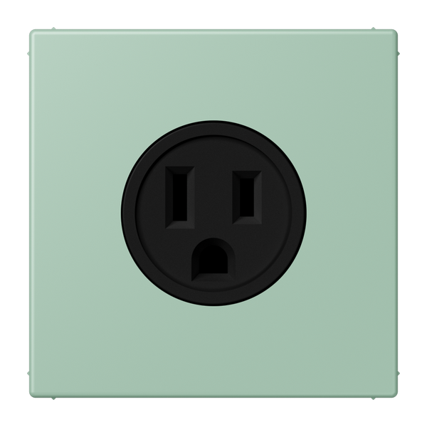 Socket US NEMA system LC32041 LC521-15217 image 1