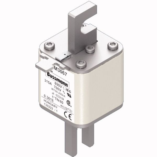 Fuse-link, high speed, 315 A, AC 690 V, compact DIN 1, 45 x 58 x 104 mm, aR, DIN, IEC, single indicator image 2