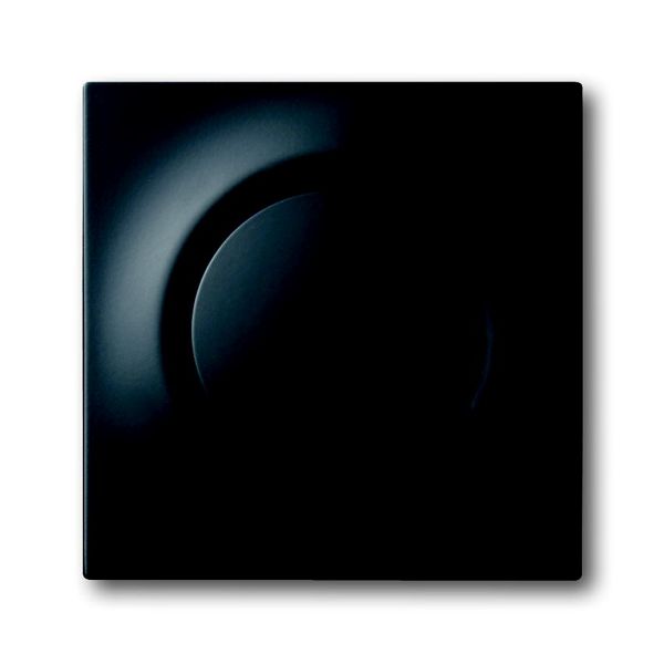 6545-775 CoverPlates (partly incl. Insert) carat® black matt image 1