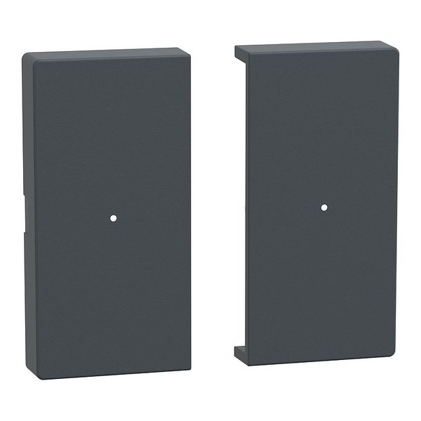 Rockers for button module 2-fold, anthracite, system M image 1