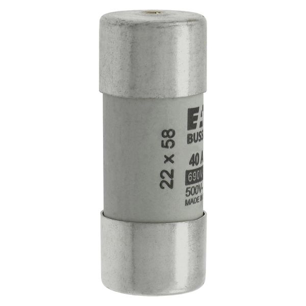 Fuse-link, LV, 40 A, AC 690 V, 22 x 58 mm, gL/gG, IEC, with striker image 19