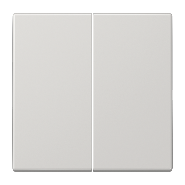 Dimmer Plate LS1565.07LG image 2