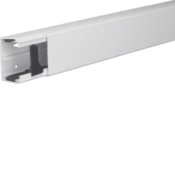 Distribution trunking outside, 40x60, pw image 1