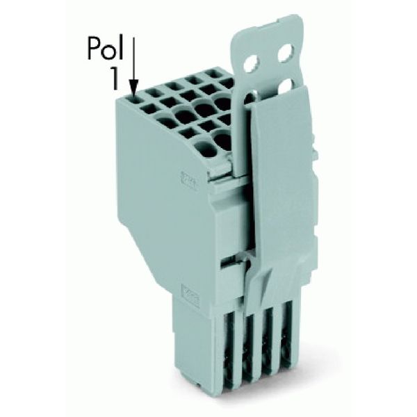 2-conductor female connector Push-in CAGE CLAMP® 1.5 mm² gray image 3