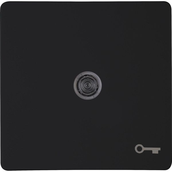 Rocker pad with lens and symbol "key" image 1