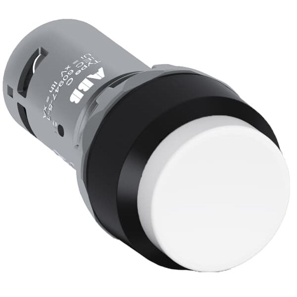 CP3-10W-10 Pushbutton image 2