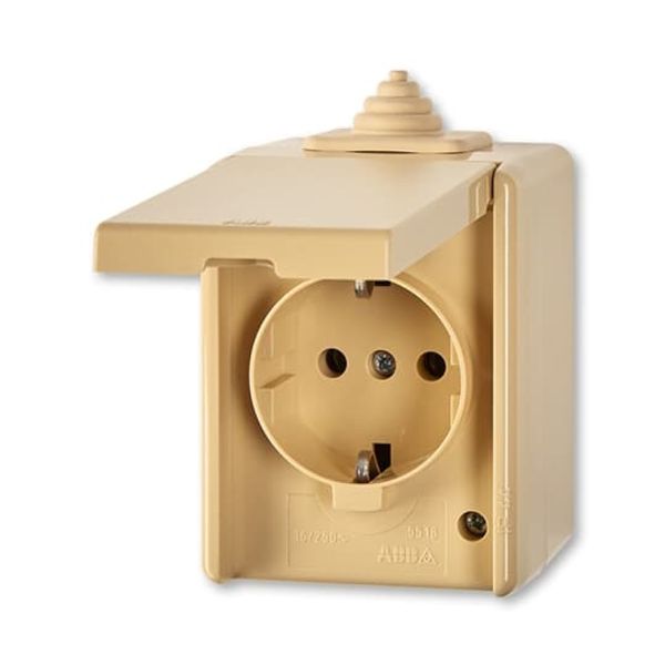 5518-3929 D Socket outlet with earthing contacts, with hinged lid image 2