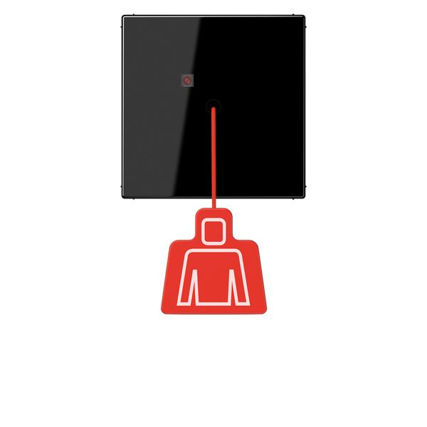 Signal device Pullcord/disabl. WC c. s., sva image 1