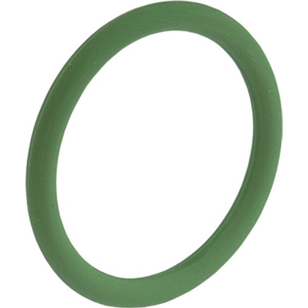 O-Ring Viton FPM 17.0 x 2.0  image 1
