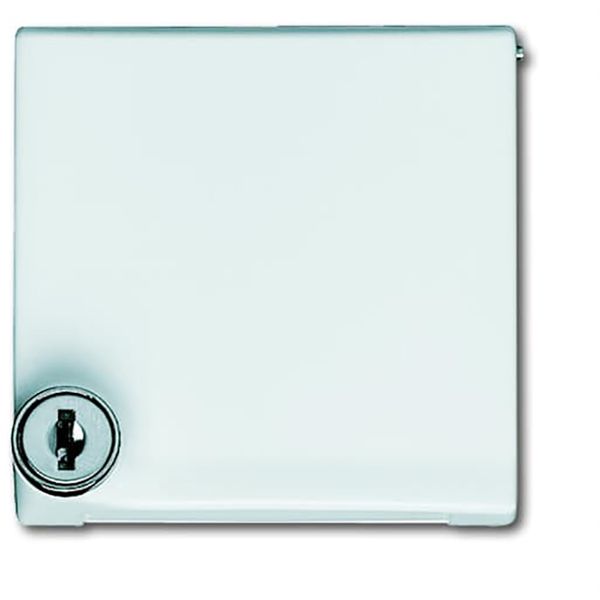 2118 GKSL-32 CoverPlates (partly incl. Insert) Flush-mounted, water-protected, special connecting devices White image 1