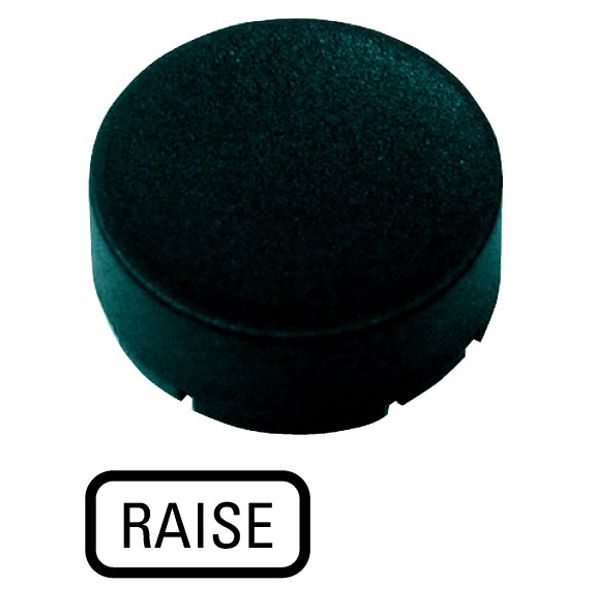 Button plate, raised black, RAISE image 1