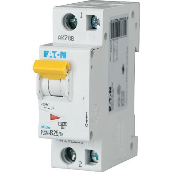 PLSM-C25/1N-MW Eaton Moeller series xPole - PLS6/M MCB image 1