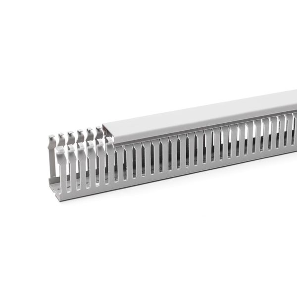 BEDIN 6262 sgr Cable gutters BE-DIN 62,5, Gutter width 62.5 image 1