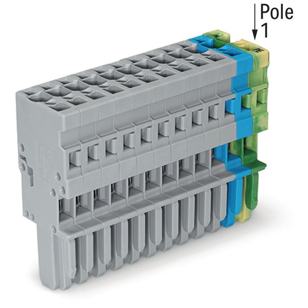 1-conductor female connector CAGE CLAMP® 4 mm² gray/blue/green-yellow image 1