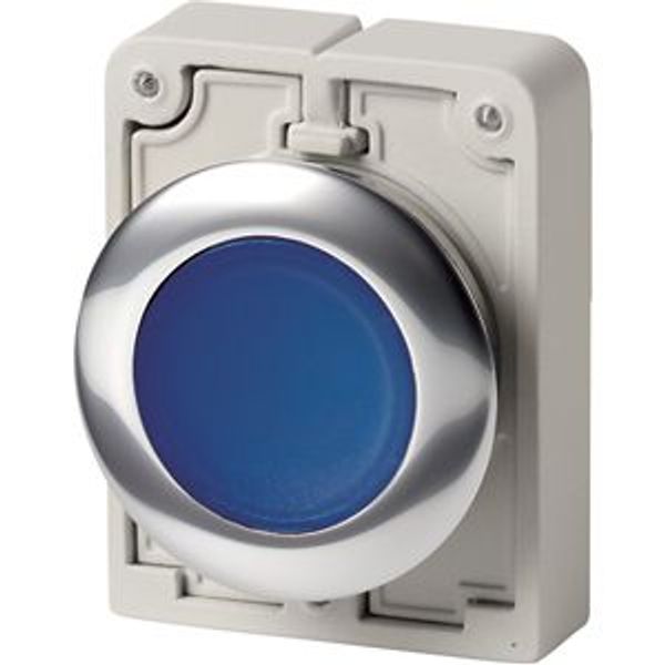 Illuminated pushbutton actuator, RMQ-Titan, Flat, momentary, Blue, Blank, Metal bezel image 8