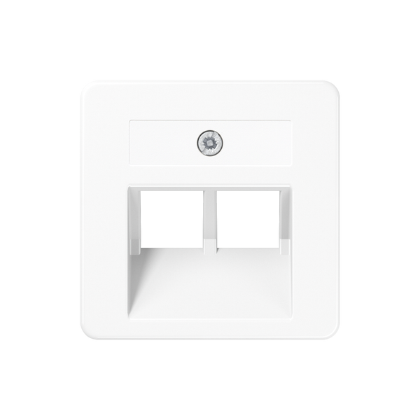 Centre plate for 2-gang modular jack 169-2UAEWW image 1