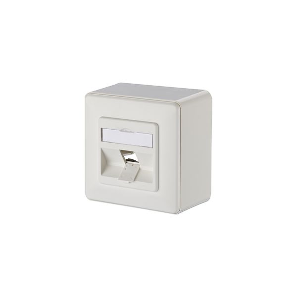 Modul wall outlet surface mounted 1 port unequipped pure white 43 mm image 1