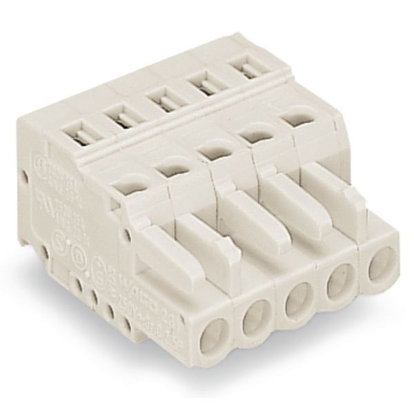 1-conductor female connector CAGE CLAMP® 2.5 mm² light gray image 1