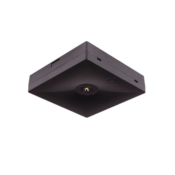 Starlet QUAD LED SOH 250 SA 3H MT [BLK] image 1