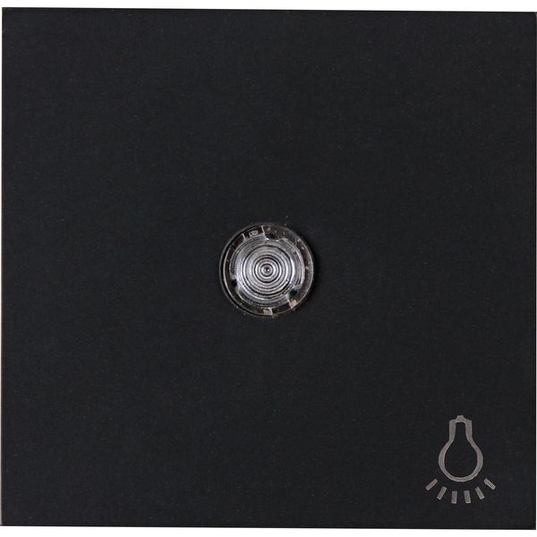 HK07 - Flächenwippe mit Linse und Symbol "Licht", Farbe: schwarz matt image 1