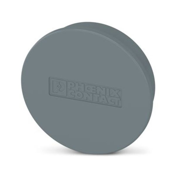 ES-FT-BPC 95-120 PROTECTION CAP image 1