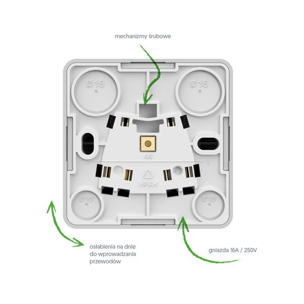 BERG SOCKET 2P+Z image 3