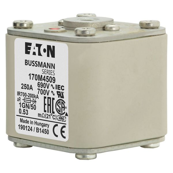 Fuse-link, high speed, 250 A, AC 690 V, size 1, 53 x 69 x 51 mm, aR, IEC, UL, single indicator, flush end, 18 UNC image 5