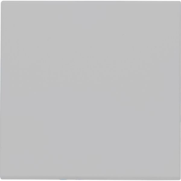 HK07 - Flächenwippe ohne Linse, Farbe: grau matt image 1