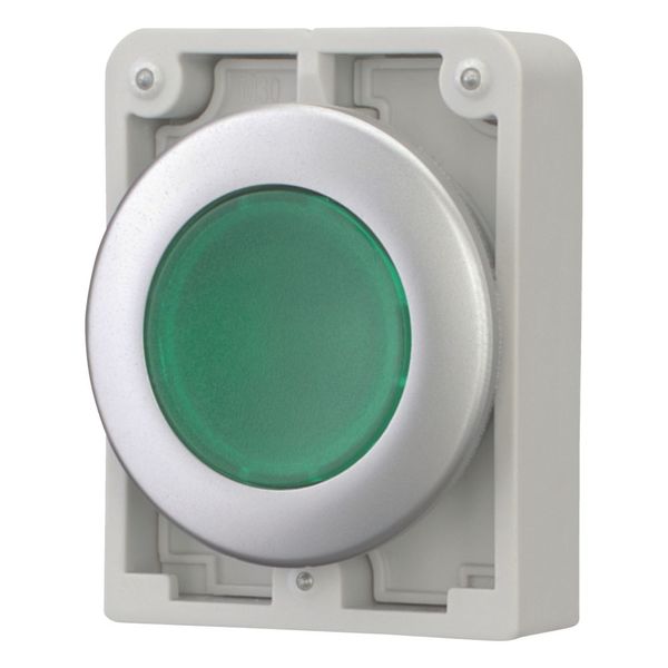 Illuminated pushbutton actuator, RMQ-Titan, Flat, momentary, green, Blank, Metal bezel image 5