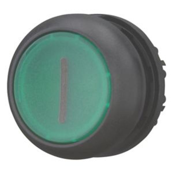 Illuminated pushbutton actuator, RMQ-Titan, Flush, momentary, green, inscribed, Bezel: black image 2