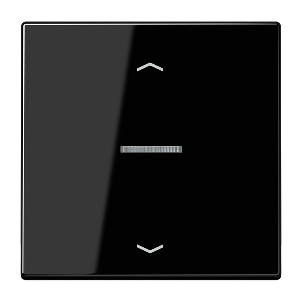 Centre plate for motor control inserts FMLS5232SW image 4