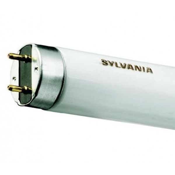 Sylvania T8 Luxline Plus F36W/830 S1L-RETAIL - 0000376 image 1