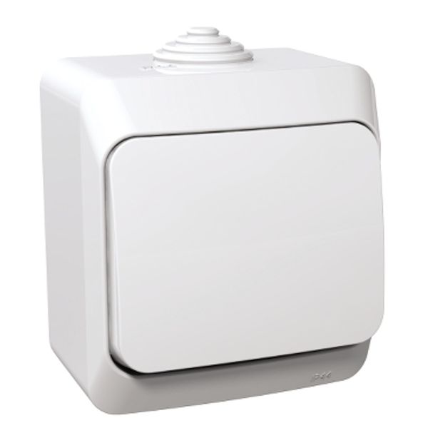 Cedar Plus - 1pole switch - 16AX, white image 3