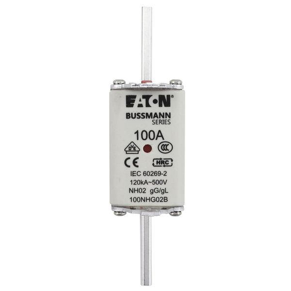Fuse-link, LV, 100 A, AC 500 V, NH02, gL/gG, IEC, dual indicator, live gripping lugs image 20