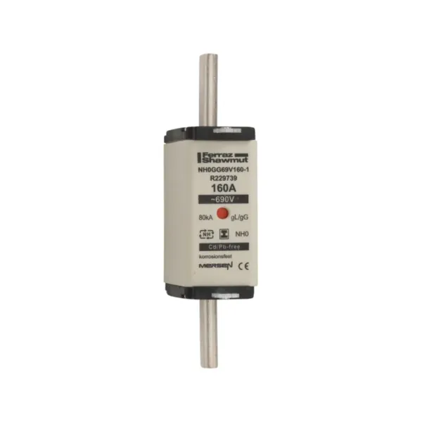 Fuse-link NH0 gG 690VAC 160A isolated tags Double indicator image 2