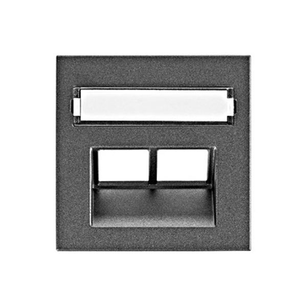 Cover for RJ45 UAE outlet,labelling window,2-Port,anthracite image 1