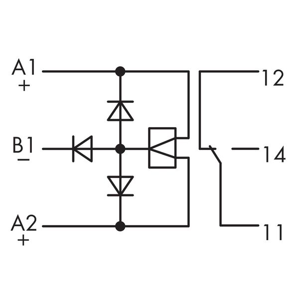 Bistable relay module Nominal input voltage: 24 VDC 1 changeover conta image 5