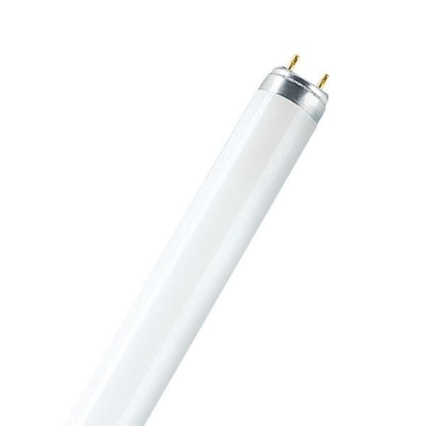 Fluorescent Tube MIX  36W/31-830 T8 RADIUM  ELG image 1