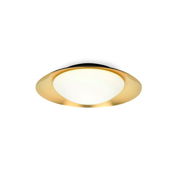 SIDE LED BLACK AND GOLD CEILING LAMP 15W image 1