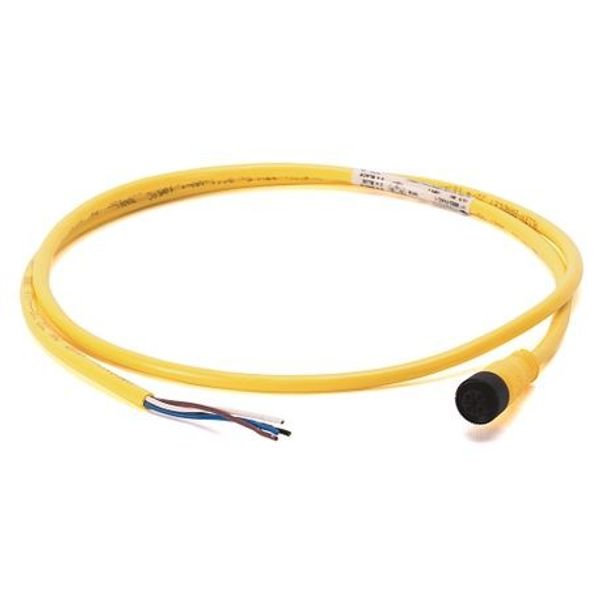 Allen-Bradley 889D-M4BC-2 DC Micro (M12), Male, Straight, 4-Pin, PVC Cable, Black, Unshielded, IEC Color Coded, No Connector, 2 meter (6.56 feet), 22AWG image 1