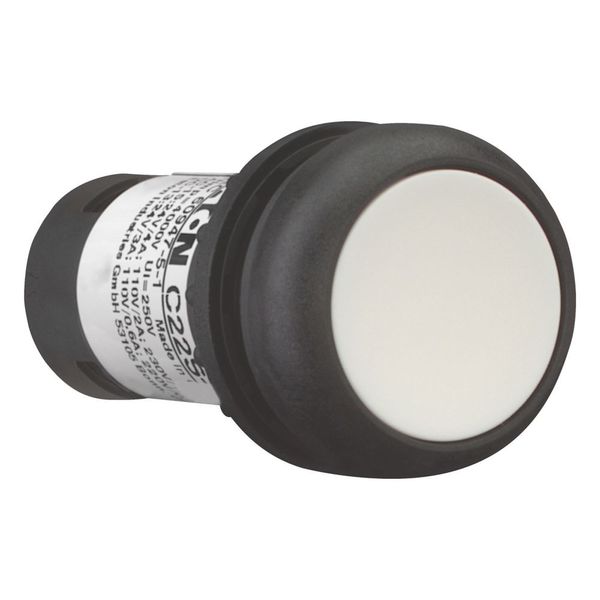Pushbutton, Flat, maintained, 2 N/O, Screw connection, White, Blank, Bezel: black image 12