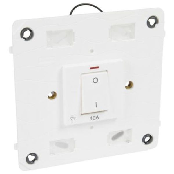 Double pole switch Arteor - with neon - 40 A 250 V~ - 4'' x 4'' - white image 1