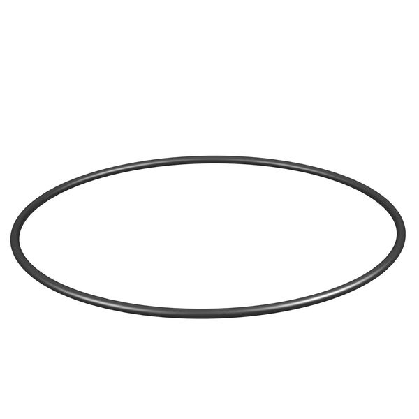 RD2 TUK2 Round seal for tube image 1