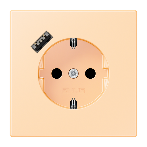 SCHUKO socket with USB charger LC32060 LC1520-18A223 image 1