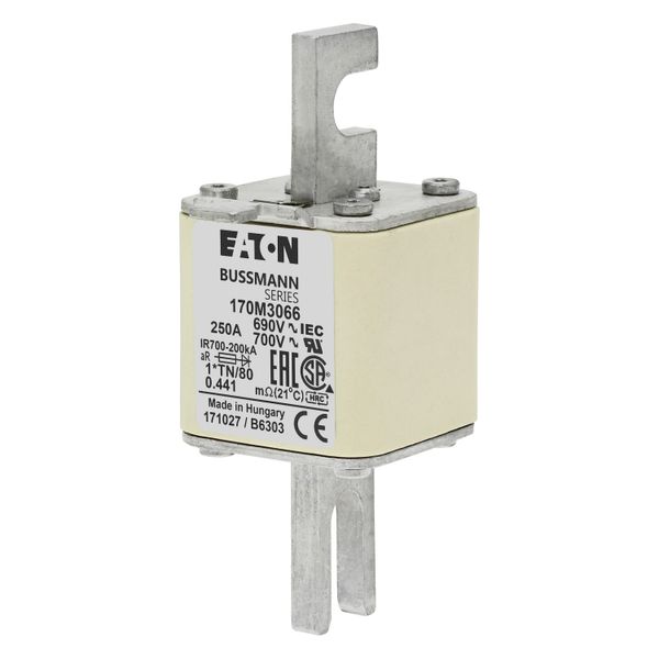 Fuse-link, high speed, 250 A, AC 690 V, compact DIN 1, 45 x 58 x 104 mm, aR, DIN, IEC, single indicator image 4