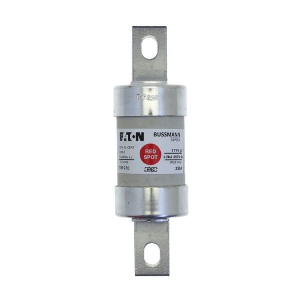 Fuse-link, LV, 250 A, AC 660 V, DC 460 V, BS88/B3, 40 x 137 mm, gL/gG, BS image 5