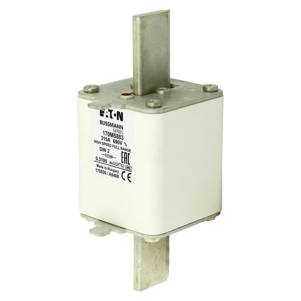 Fuse-link, high speed, 315 A, AC 690 V, DIN 2, 60 x 74 x 150 mm, gR, DIN, IEC, single indicator image 8