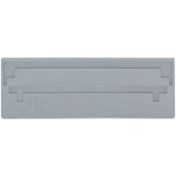 Separator plate 2 mm thick oversized gray image 2