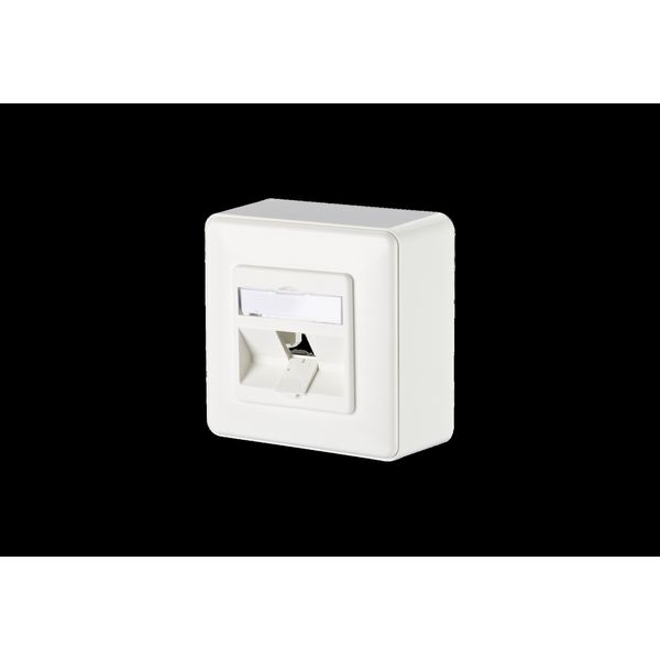 Modul wall outlet surface mounted 1 port unequipped pure white image 2