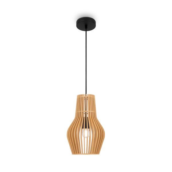 Modern Roots Pendant lamp Black image 1